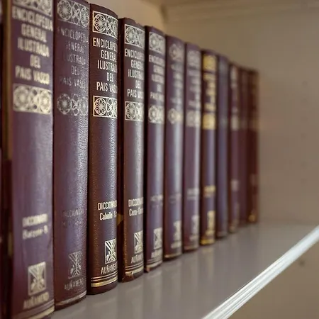 Apartment Earra - Goxo - Centro, 450m Playa *